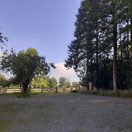 Les Gites Du Chateau De Maltot Saint-Ouen-du-Breuil Exteriör bild